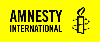 Mezinárodní iniciativa Amnesty International